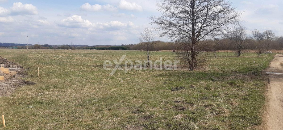 Działka budowlana na sprzedaż Przeczyce  800m2 Foto 3