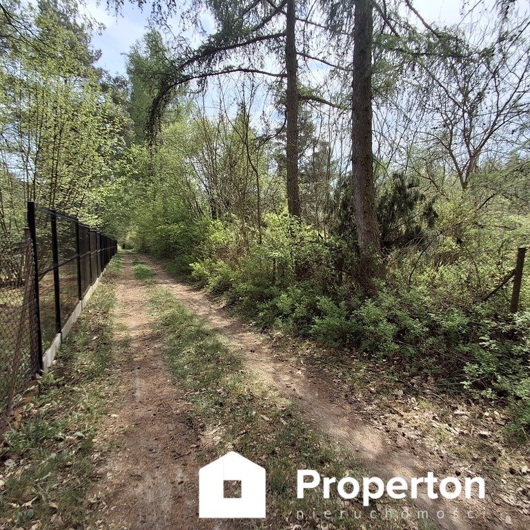 Działka 3000 m² z MPZP, media, las, domek, Żelechów Żelechów, Parkowa  3 000m2 Foto 1