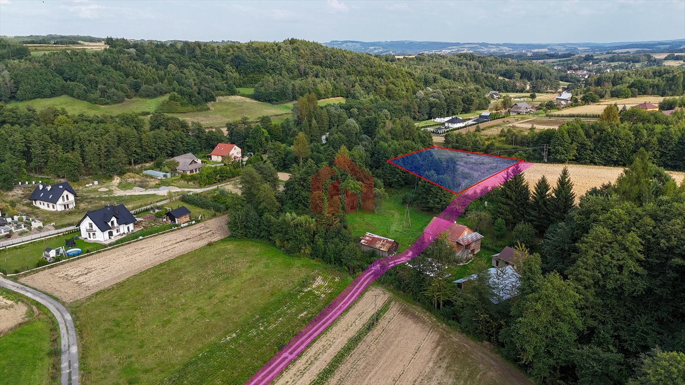 Działka budowlana na sprzedaż Niedźwiada  5 500m2 Foto 12