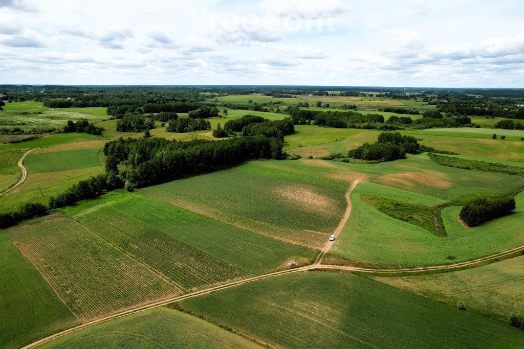 Działka rolna na sprzedaż Bartosze  3 500m2 Foto 11