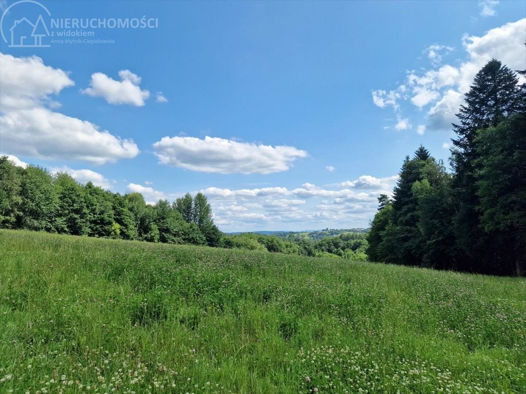 Działka budowlana na sprzedaż Błażkowa  2 559m2 Foto 4