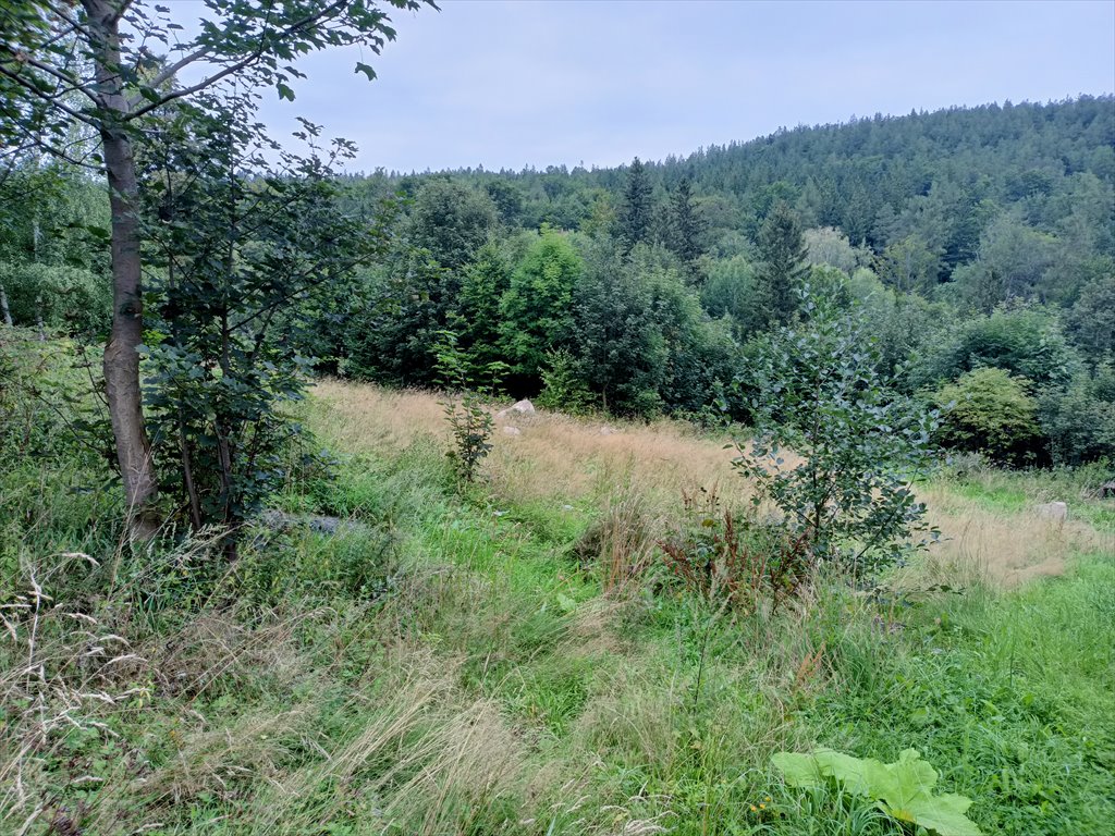 Działka budowlana na sprzedaż Karpacz, Zarzecze, Myśliwska  2 236m2 Foto 5