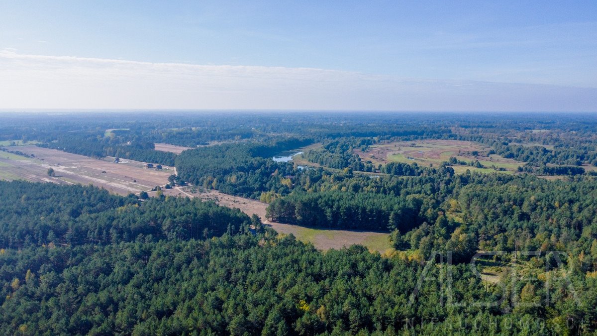 Działka leśna na sprzedaż Michałowo  36 000m2 Foto 9