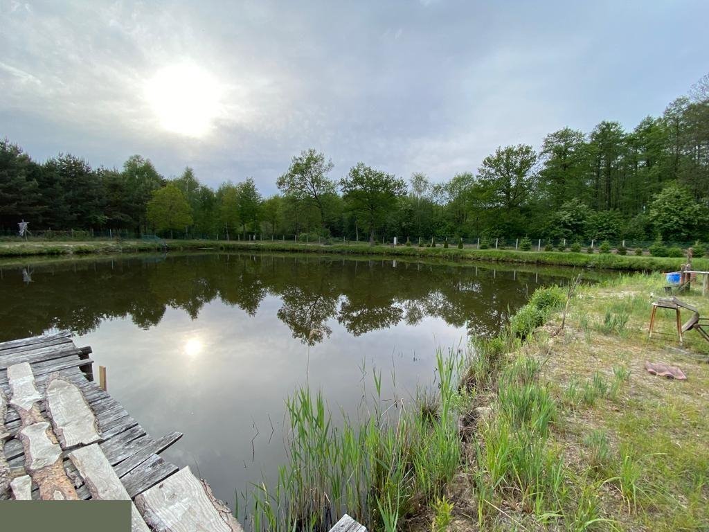 Działka budowlana na sprzedaż Sromutka  17 000m2 Foto 4