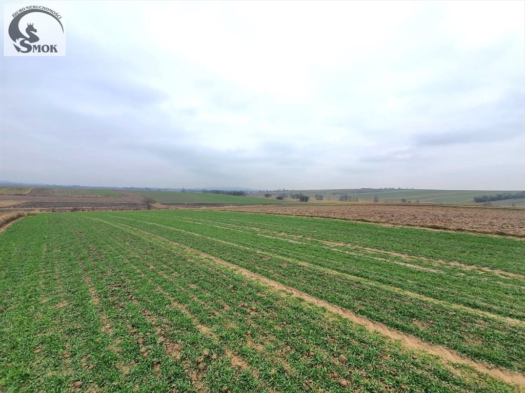 Do sprzedania działka rolno-leśna 3,9 ha z dojazdem polnym Czułów  3 900m2 Foto 1