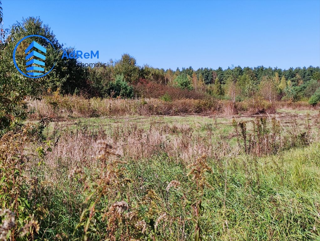 Działka budowlana na sprzedaż Brześce, Osiedle Brześce  2 557m2 Foto 2