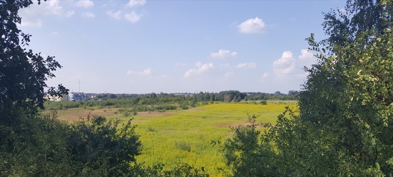 Działka inwestycyjna na sprzedaż Mszczonów 69 842m2 Foto 1 Działka inwestycyjna na sprzedaż Mszczonów 69 842m2 Foto 1