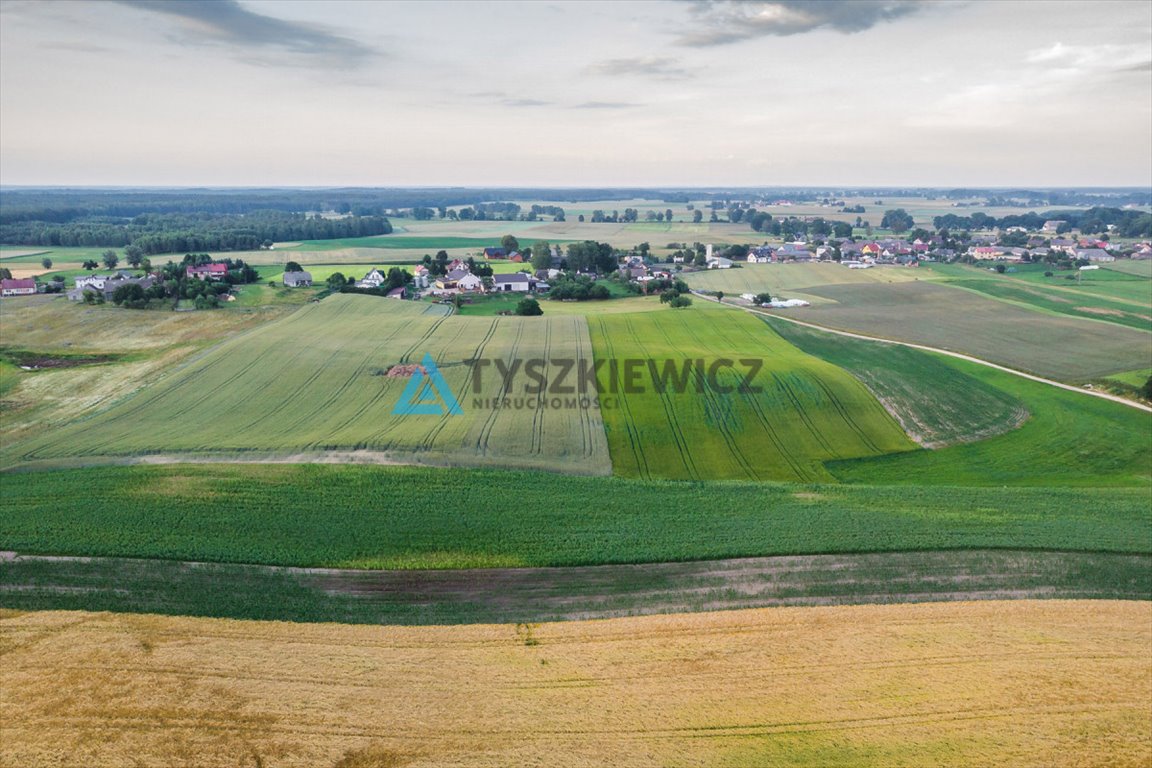 Działka rolna na sprzedaż Sąpolno  12 200m2 Foto 10