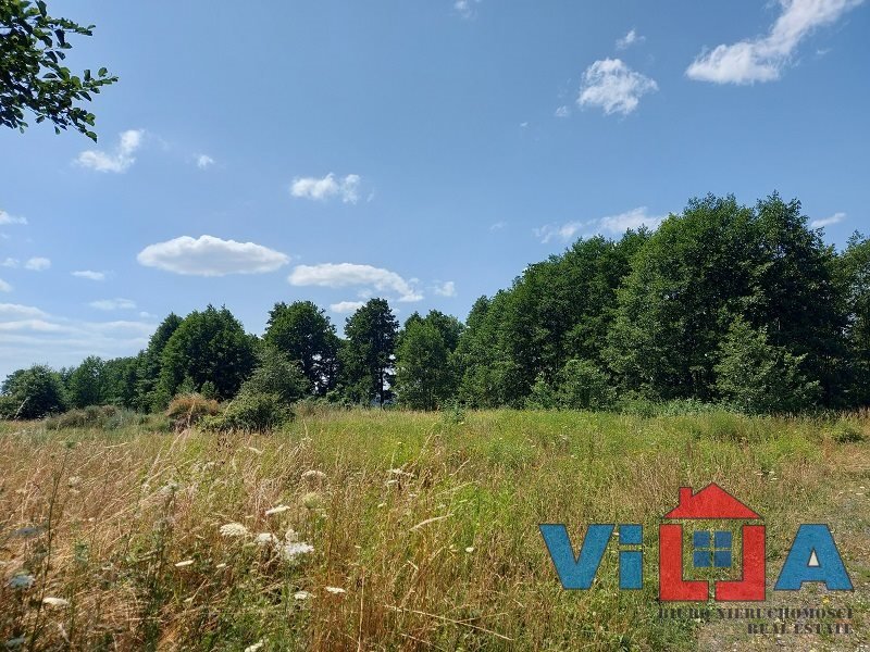 Zapraszam do zakupu działki 970 m² z mediami i warunkami zabudowy Zielona Góra, Ochla  970m2 Foto 1