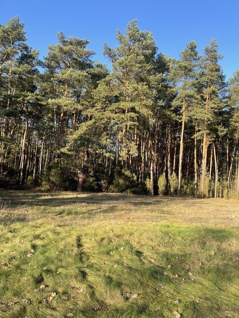 Działka budowlana na sprzedaż Ruda  1 467m2 Foto 4