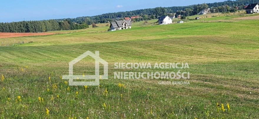 Działka budowlana na sprzedaż Skrzeszewo Żukowskie  1 820m2 Foto 6