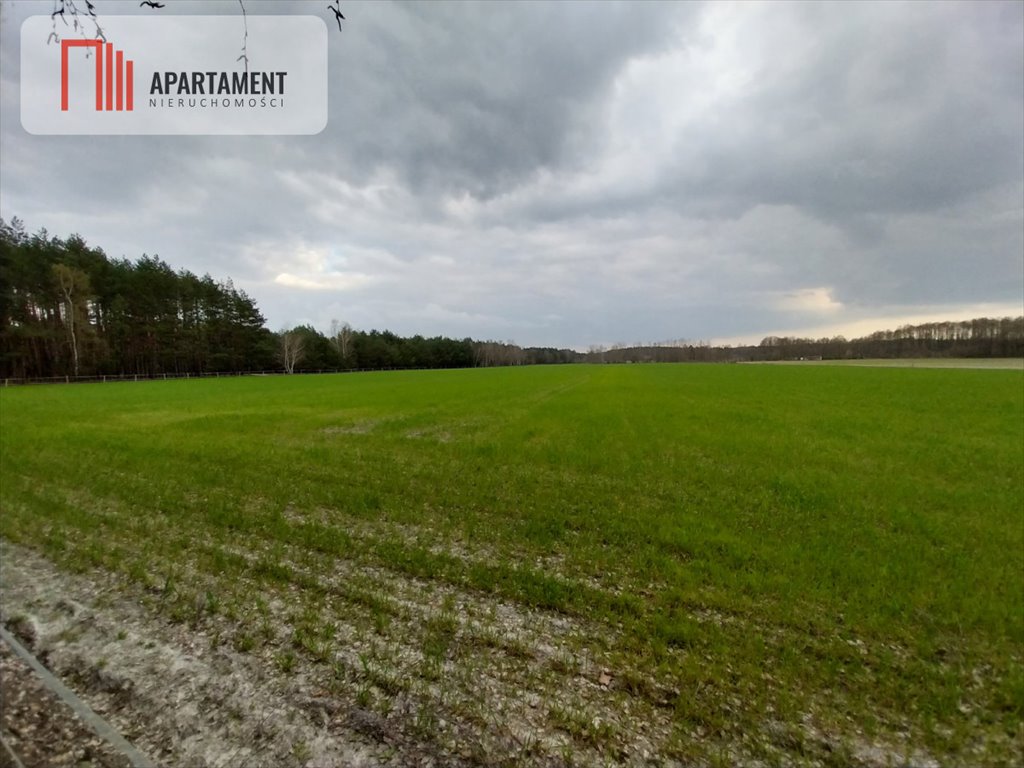 Działka gospodarstwo rolne na sprzedaż Klotyldowo  3 000m2 Foto 2