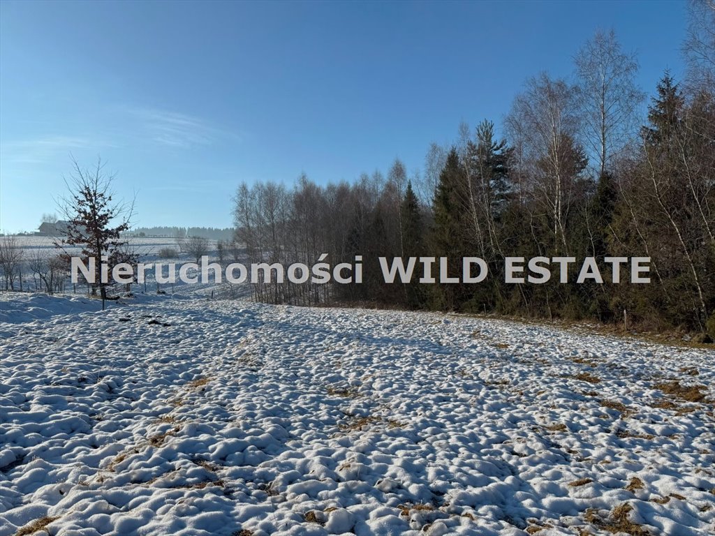 Działka budowlana na sprzedaż Lesko, Weremień  1 060m2 Foto 4