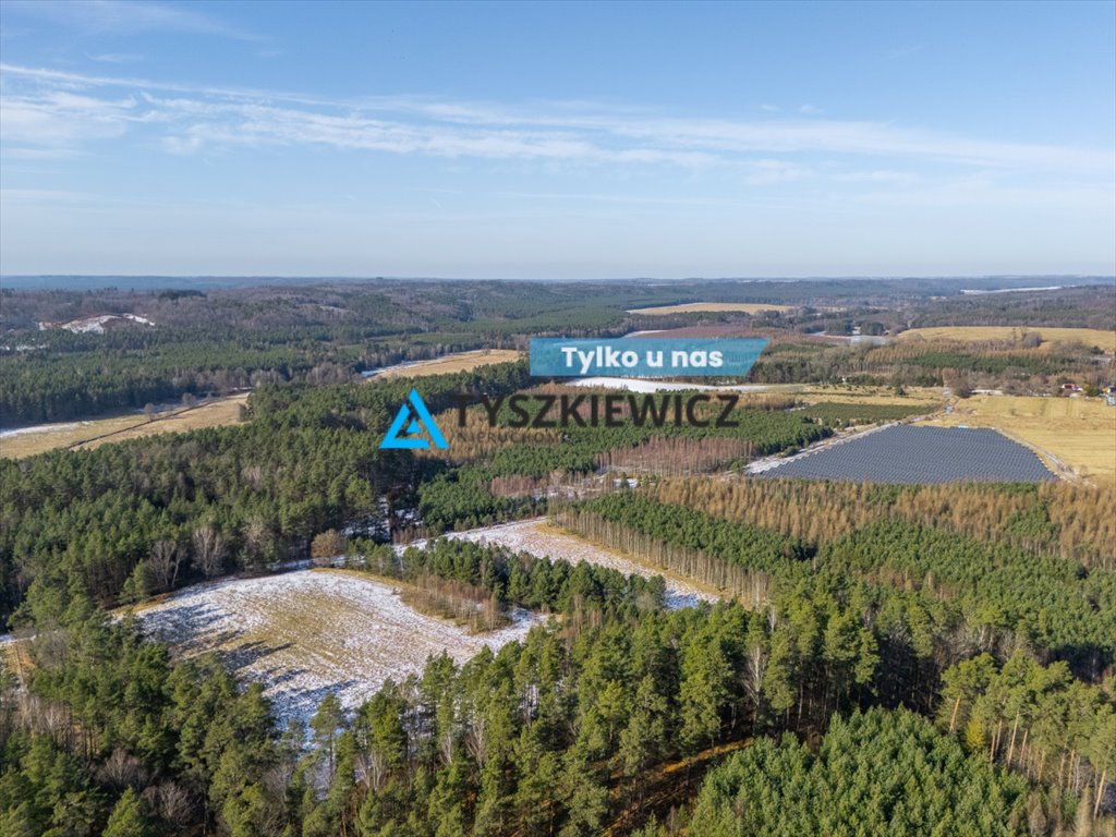 Wyjątkowa działka leśna 14 ha w Chociminie – raj dla natury i inwestycji Chocimino  141 058m2 Foto 1