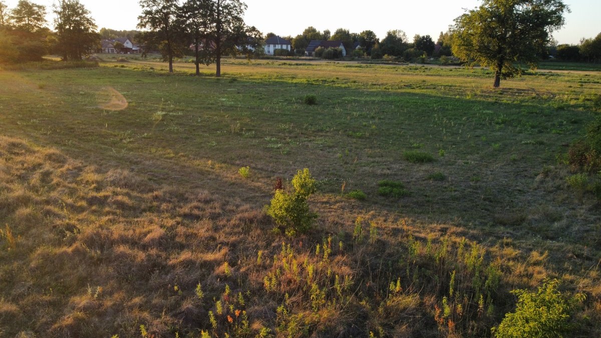 Działka budowlana na sprzedaż Stanisławów Pierwszy  3 948m2 Foto 13