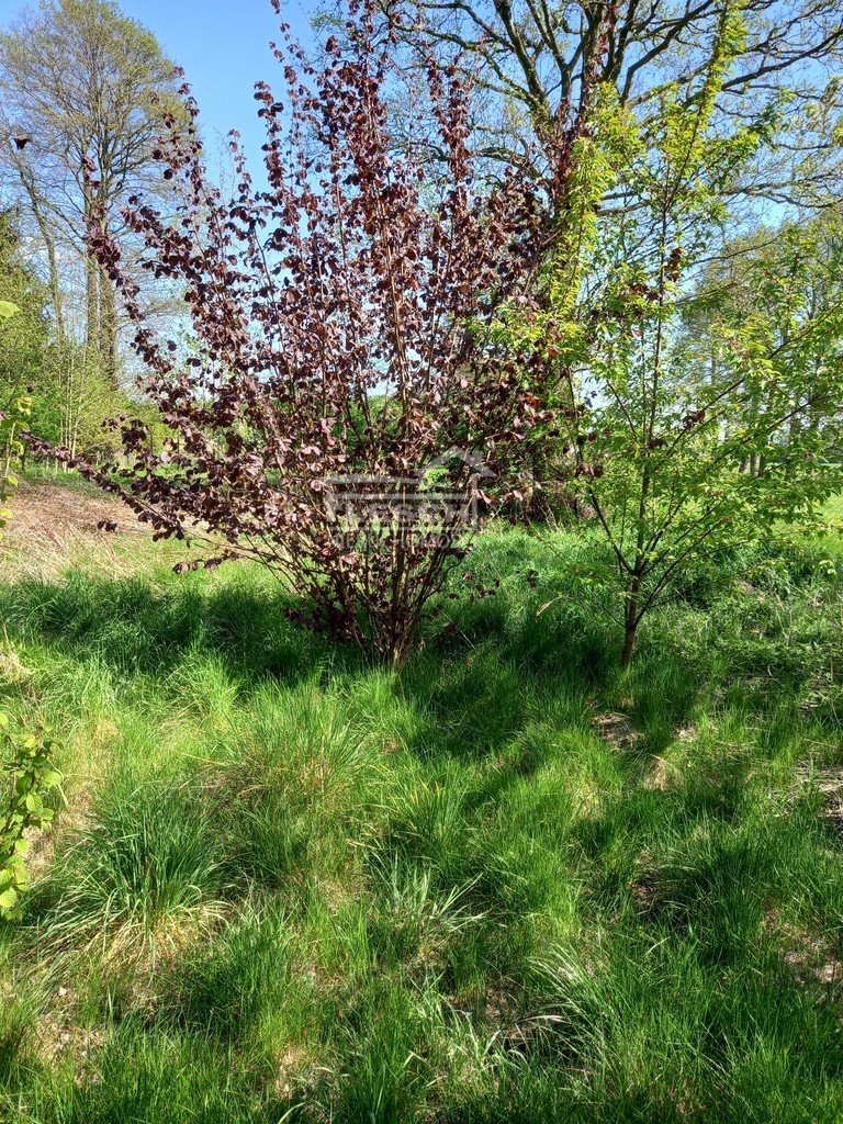 Działka budowlana na sprzedaż Żelechów  2 594m2 Foto 3