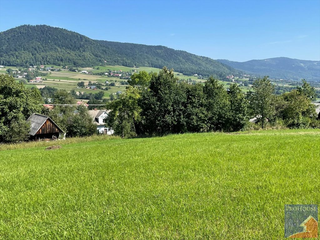 Działka budowlana na sprzedaż Pisarzowa  7 200m2 Foto 15