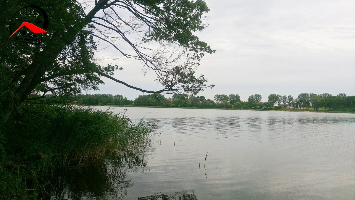 Działka gospodarstwo rolne na sprzedaż Radoszewice  3 000m2 Foto 3