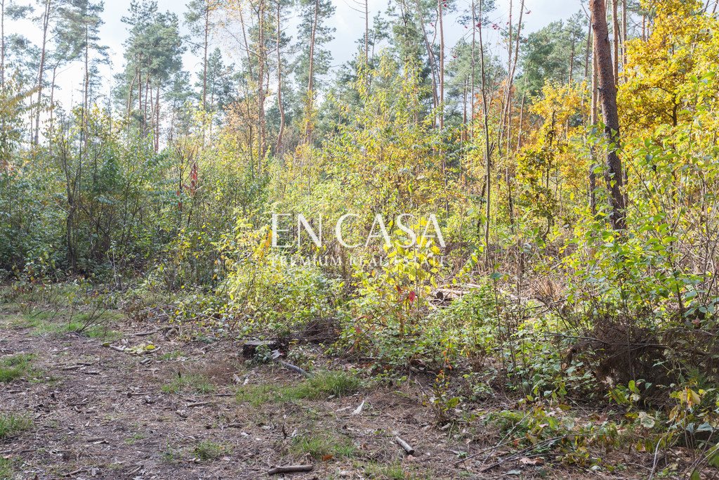 Działka leśna na sprzedaż Władysławów, Ku Rzece  11 293m2 Foto 3