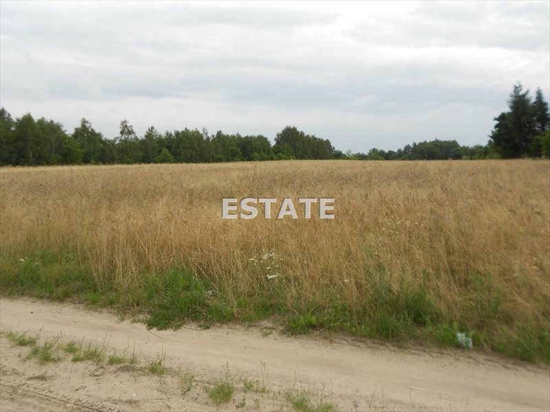 Działka pod zabudowę 11 891 m² z warunkami na 11 domów Łódź, Widzew, Stare Moskule  11 891m2 Foto 1