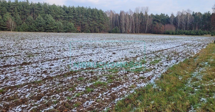 Działka 9 900 m² w Wygodzie – blisko Puszczy Mariańskiej Wygoda  9 900m2 Foto 1