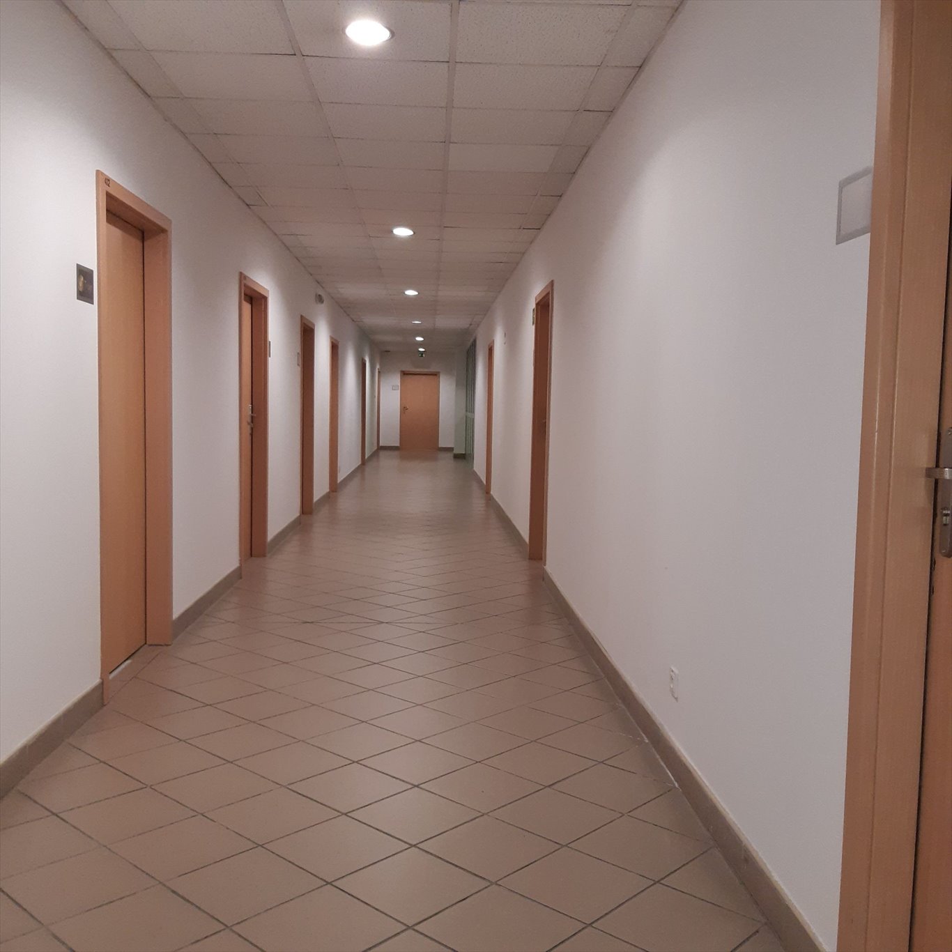 Lokal użytkowy na wynajem Warszawa, Praga-Północ, Pelcowizna  70m2 Foto 14