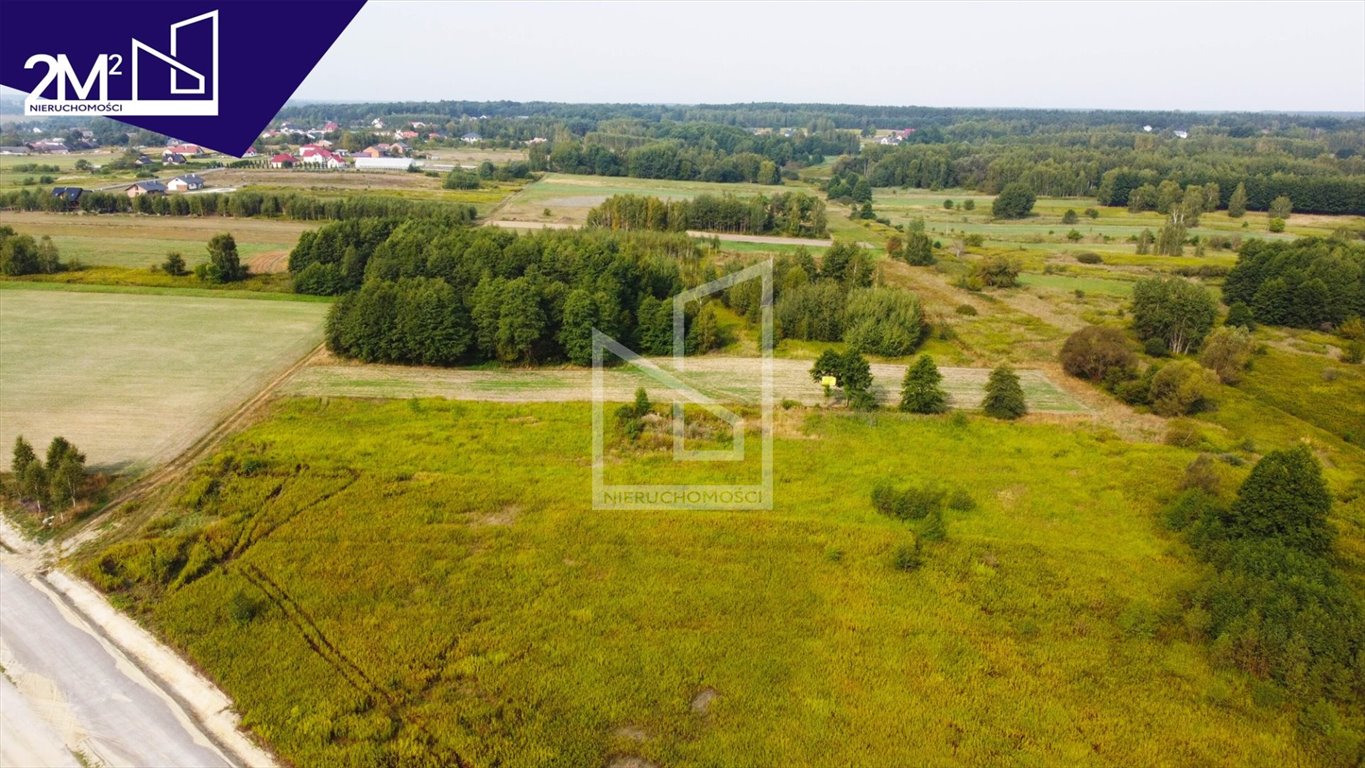 Działka rolna na sprzedaż Gmina Sokołów Małopolski, Trzebuska  5 700m2 Foto 5