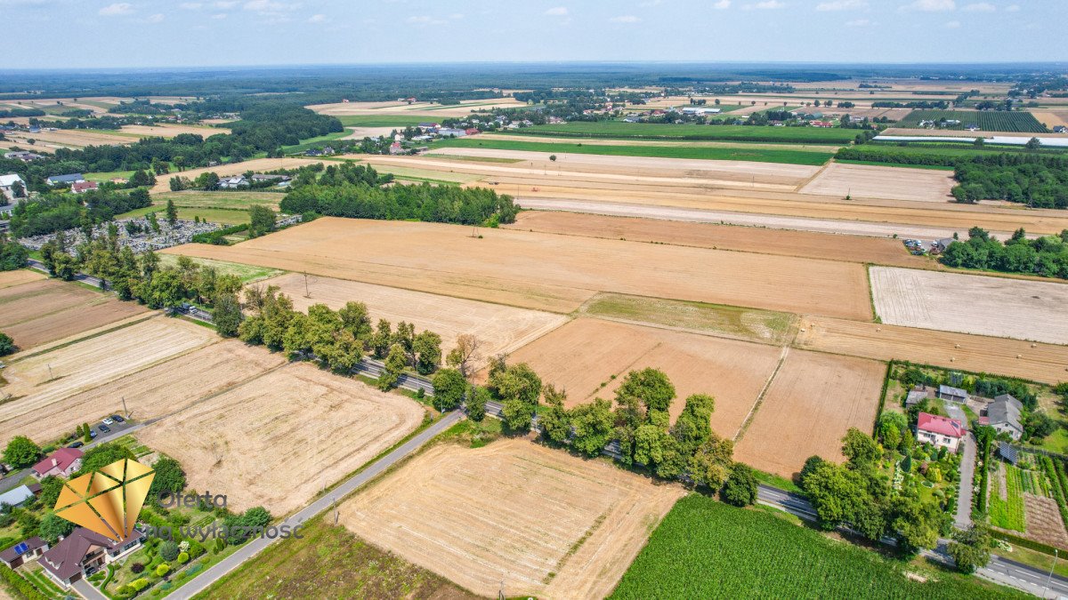 Działka budowlana na sprzedaż Krasienin-Kolonia  3 500m2 Foto 5