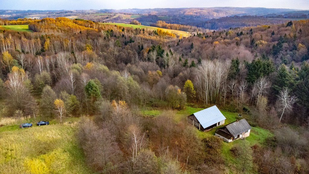 Dom na sprzedaż Borówki  80m2 Foto 15