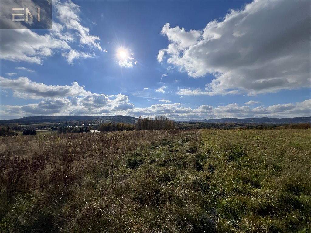 Działka budowlana na sprzedaż Gbiska  4 600m2 Foto 7