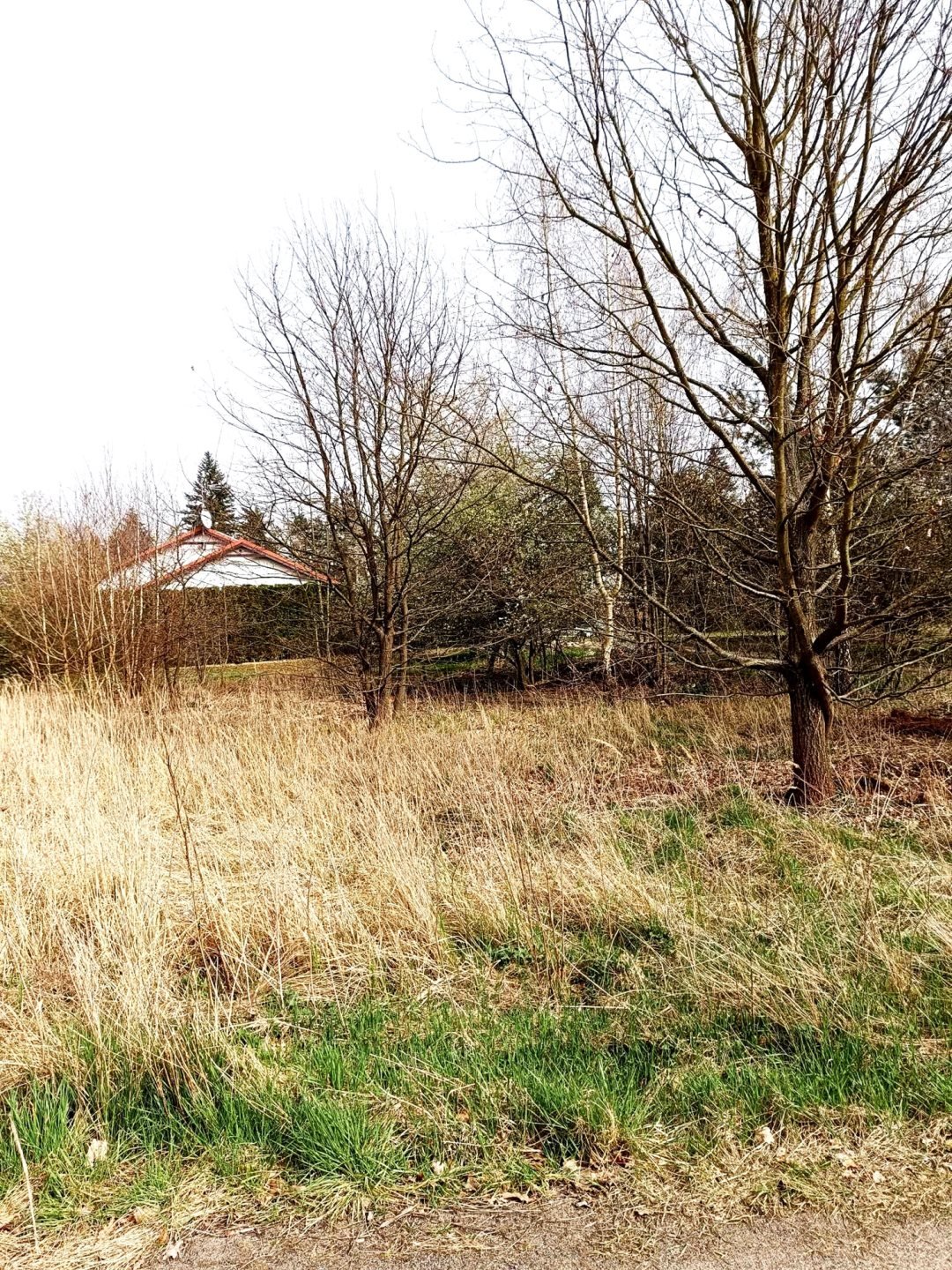 Działka budowlana na sprzedaż Lipiany  800m2 Foto 2