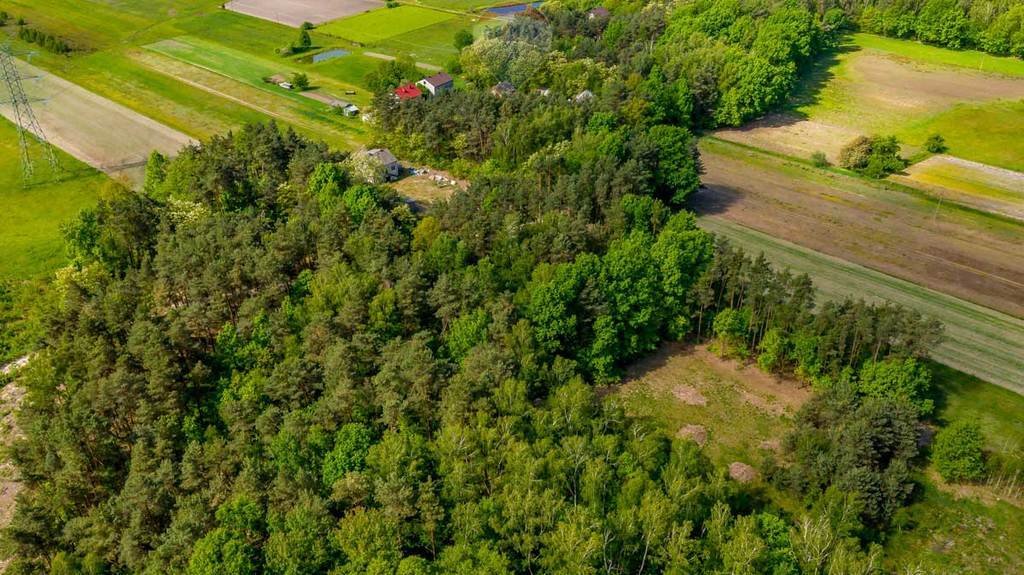 Działka rolna na sprzedaż Suchowizna  3 100m2 Foto 5