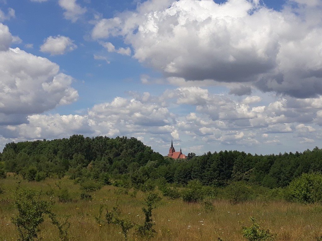 Działka rekreacyjna na sprzedaż Starzyce  500m2 Foto 8