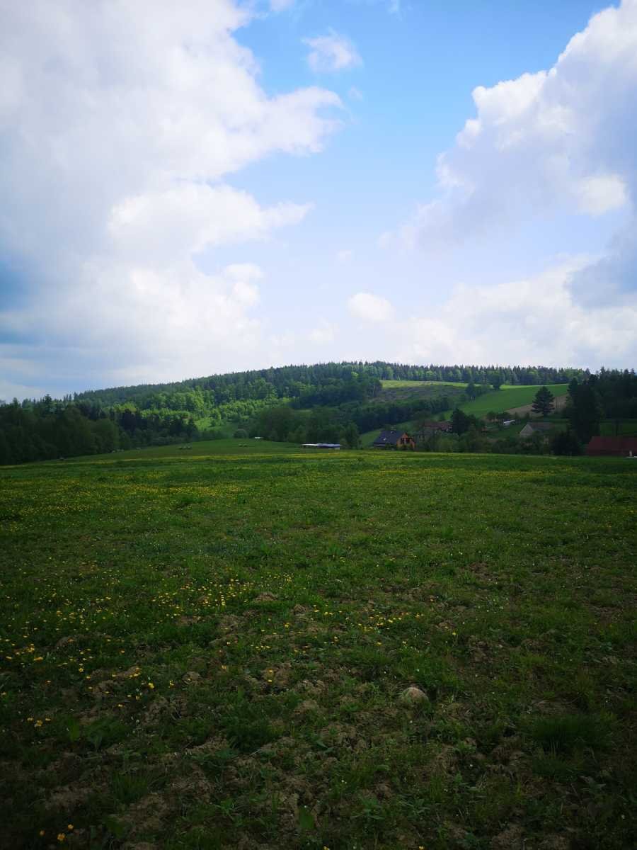 Działka gospodarstwo rolne na sprzedaż Bystrzyca Kłodzka  30 000m2 Foto 2