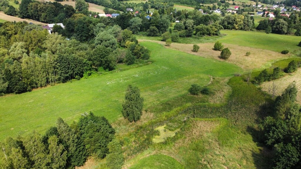 Działka budowlana na sprzedaż Borek Stary  3 100m2 Foto 6