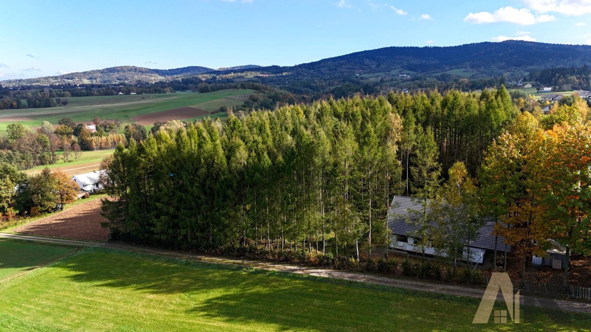 Działka budowlana na sprzedaż Polna  1 823m2 Foto 8