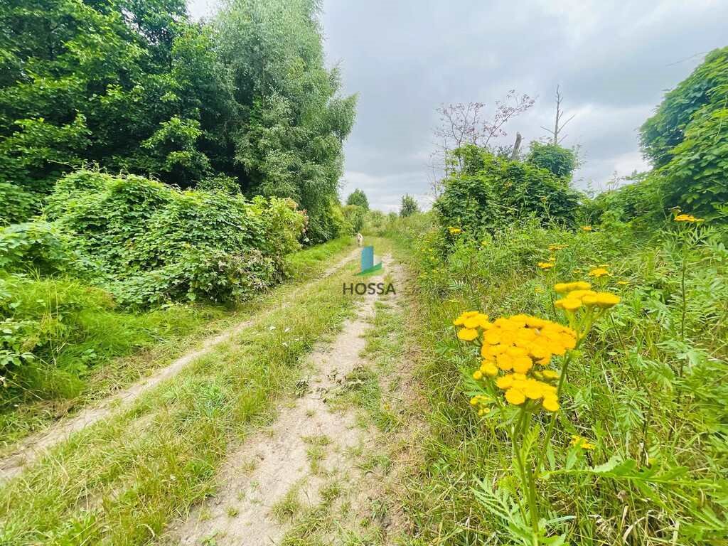 Działka budowlana na sprzedaż Miłkowiec  3 000m2 Foto 4