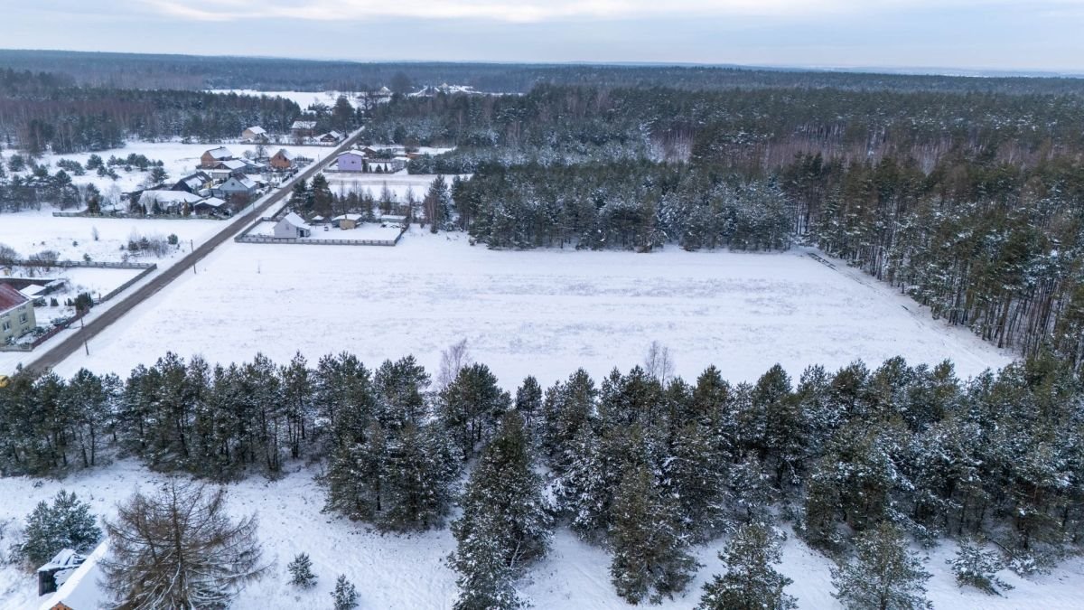 Działka budowlana na sprzedaż Koski Pierwsze  3 754m2 Foto 9