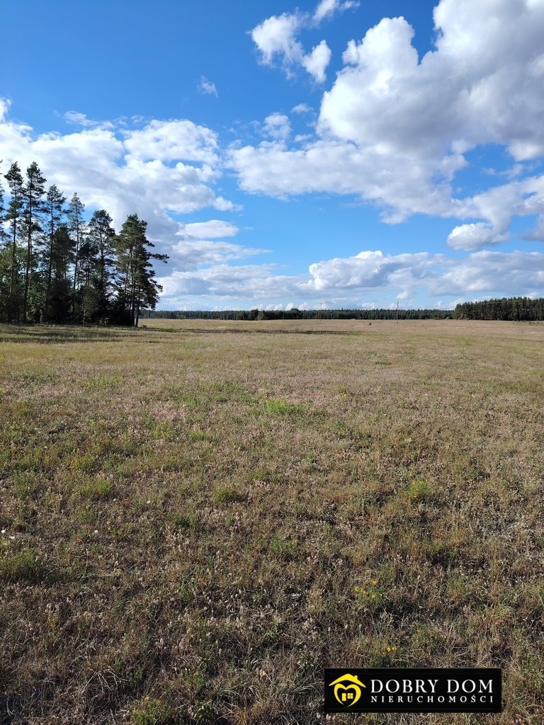 Działka budowlana na sprzedaż Danowskie  1 000m2 Foto 6