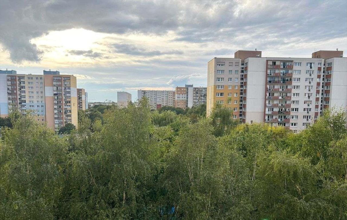 Mieszkanie trzypokojowe na sprzedaż Poznań, Grunwald, ul. Jugosłowiańska  62m2 Foto 8