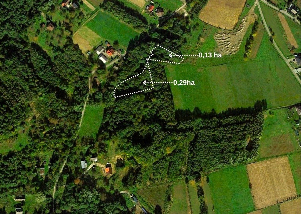 Działka leśna na sprzedaż Hermanowa  1 300m2 Foto 1