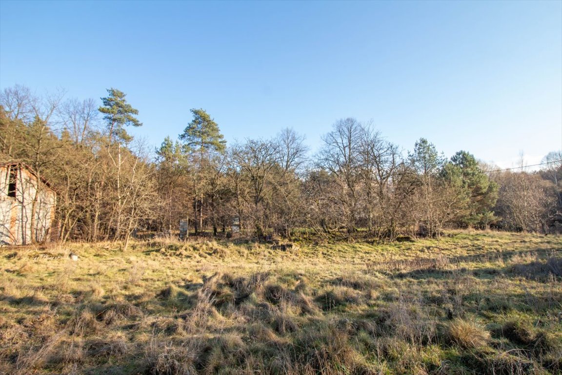 Działka budowlana na sprzedaż Tanina, Brasowe  80 411m2 Foto 4