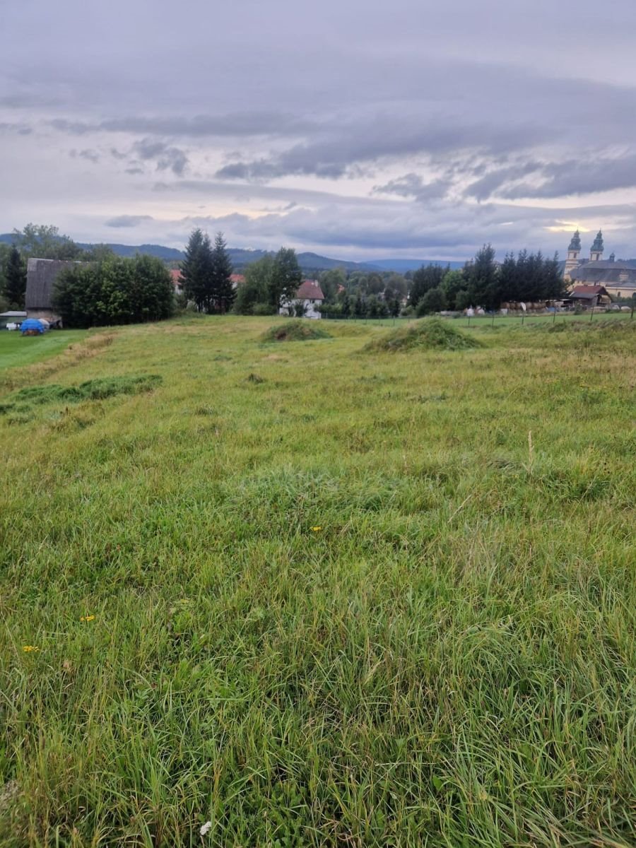 Działka budowlana na sprzedaż Krzeszów  1 088m2 Foto 5