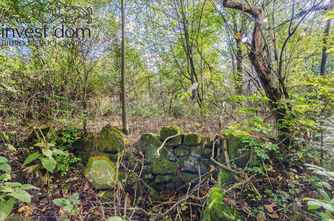 Działka budowlana na sprzedaż Nowica  1 900m2 Foto 1