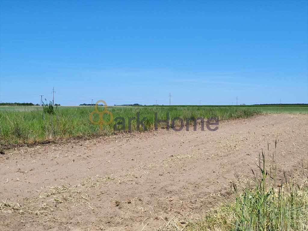 Działka budowlana na sprzedaż Kościan, Kurza Góra  725m2 Foto 3