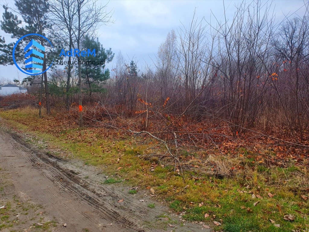 Działka budowlana na sprzedaż Konstancin-Jeziorna, Stare Wierzbno  2 000m2 Foto 1