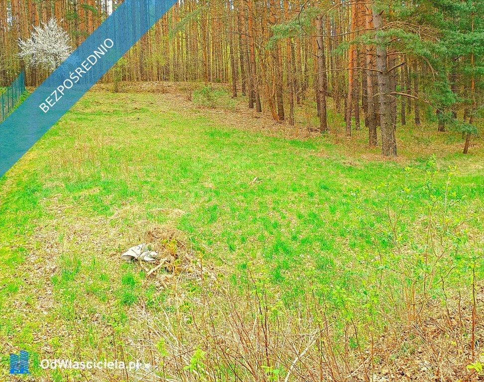 Działka budowlana na sprzedaż Pluski, Pluszna  700m2 Foto 1