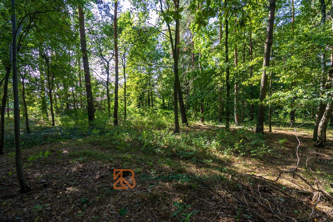 Działka budowlana na sprzedaż Konstancin-Jeziorna, Leśna  2 467m2 Foto 7