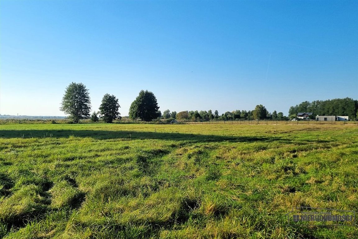 Działka budowlana na sprzedaż Marcelin  2 454m2 Foto 11