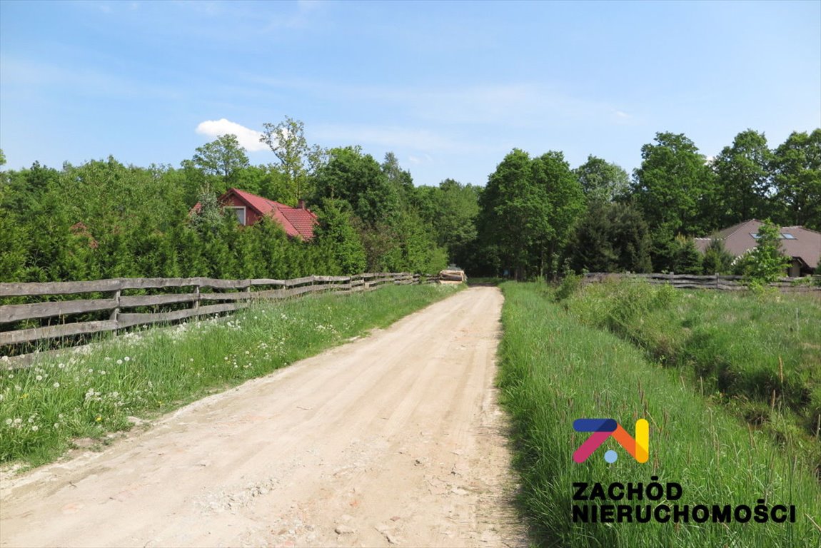 Polecam działkę leśno-budowlaną 3500 m² z prądem w Świdnicy Świdnica, Bunkrowa  3 500m2 Foto 1